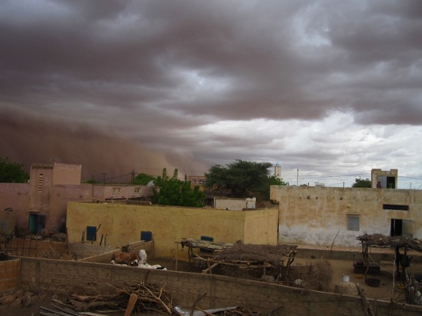 Senegal 7