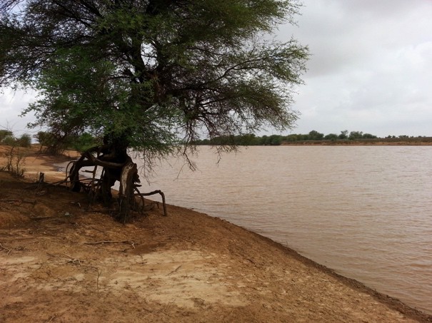 senegal 1